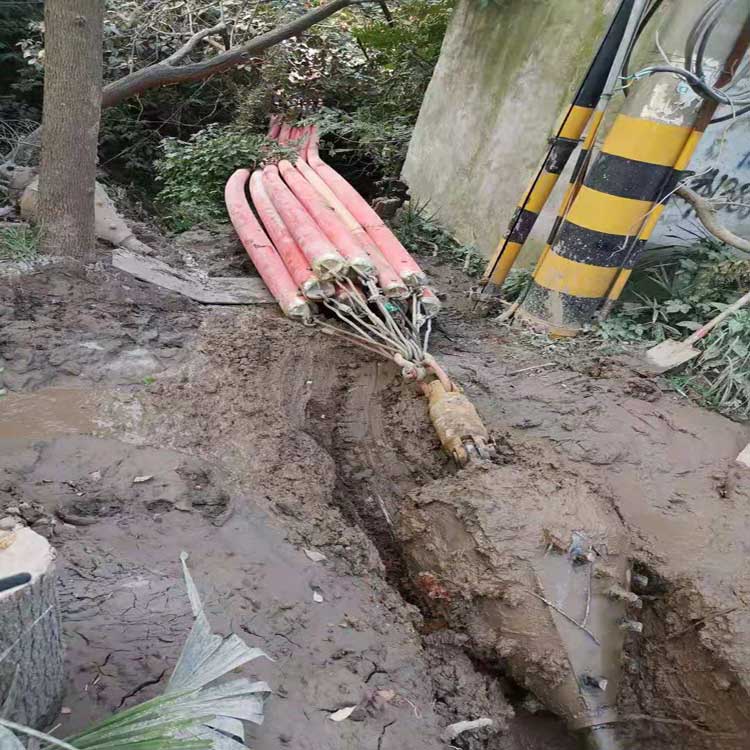 定安冷库自动武汉拖拉管